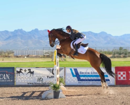 horse jumping over stand with a trainer against a mountain background