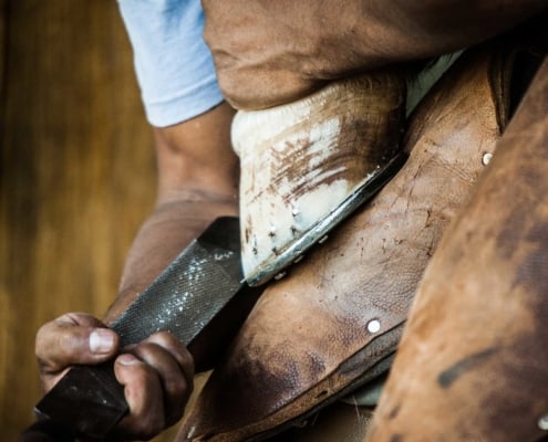 person filing down hoof to horseshoes