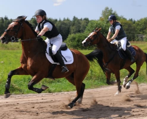 two riders on running brown racehorses