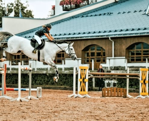 competitive jumping horse event