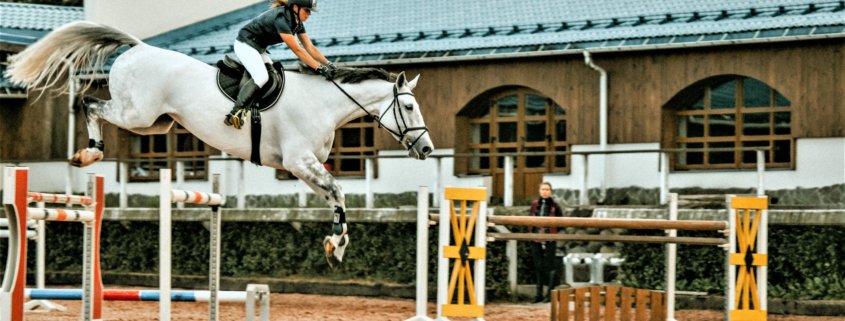 competitive jumping horse event