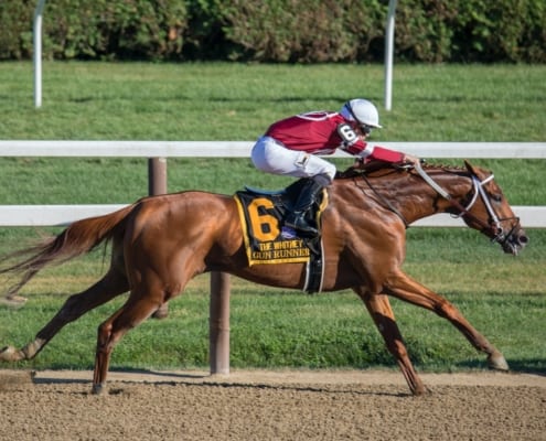 horse racing at Saratoga Springs