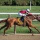 horse racing at Saratoga Springs