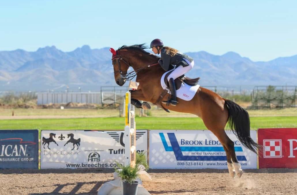 Horse Training Tips to Help You Reach Your Goals in 2021