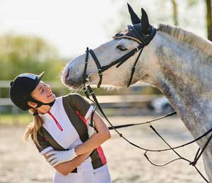 Discover 3 Important Roles That Horses Play In Education